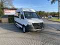 Mercedes-Benz Sprinter III 311 Tourer AMF Rollstuhlumbau, Rampe, Rollstuh Blanc - thumbnail 9