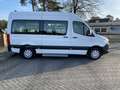 Mercedes-Benz Sprinter III 311 Tourer AMF Rollstuhlumbau, Rampe, Rollstuh Blanc - thumbnail 11