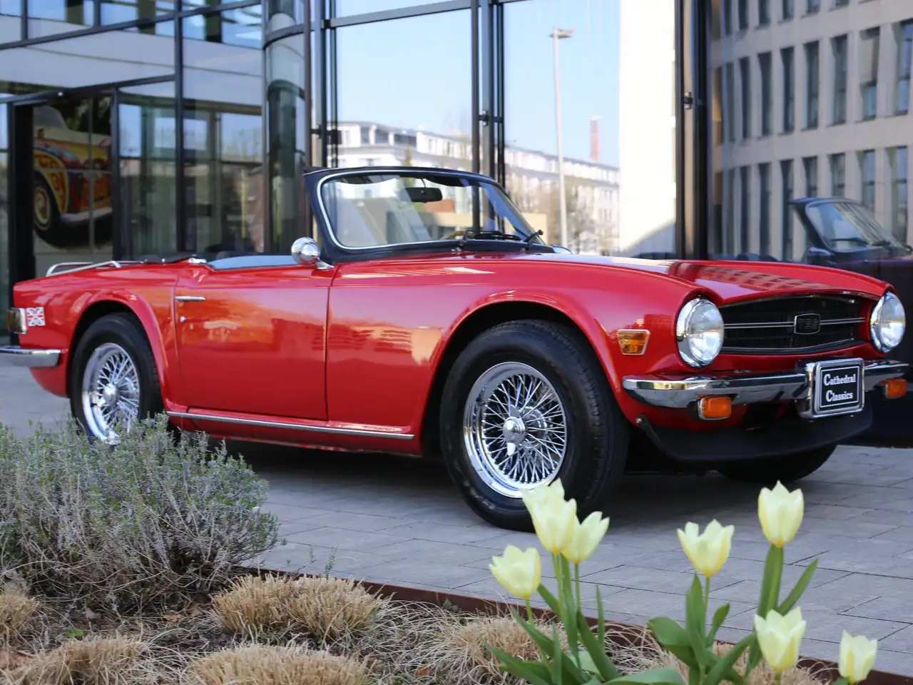 Triumph TR6