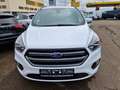 Ford Kuga 2.0 TDCi 4x4 ST-Line Navi*Panoramadach*Rückf.k. Bianco - thumbnail 1