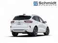 Ford Kuga St-Line 2,5L Duratec FHEV 183PS CT 4WD Weiß - thumbnail 6