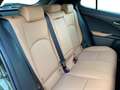 Lexus UX 250h Comfort Line Grün - thumbnail 12