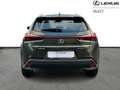 Lexus UX 250h Comfort Line Grün - thumbnail 6