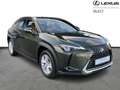 Lexus UX 250h Comfort Line Grün - thumbnail 18
