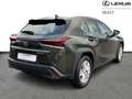 Lexus UX 250h Comfort Line Grün - thumbnail 17