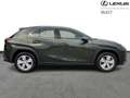 Lexus UX 250h Comfort Line Grün - thumbnail 16