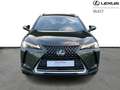 Lexus UX 250h Comfort Line Grün - thumbnail 7
