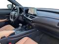 Lexus UX 250h Comfort Line Grün - thumbnail 8