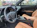 Lexus UX 250h Comfort Line Grün - thumbnail 19