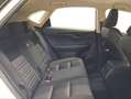 Lexus NX 300 300h Business Navigation 2WD Blanco - thumbnail 7