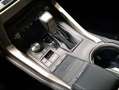 Lexus NX 300 300h Business Navigation 2WD Blanco - thumbnail 13