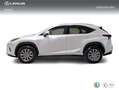 Lexus NX 300 300h Business Navigation 2WD Blanco - thumbnail 3