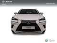 Lexus NX 300 300h Business Navigation 2WD Blanco - thumbnail 5
