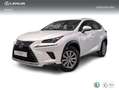 Lexus NX 300 300h Business Navigation 2WD Blanco - thumbnail 1