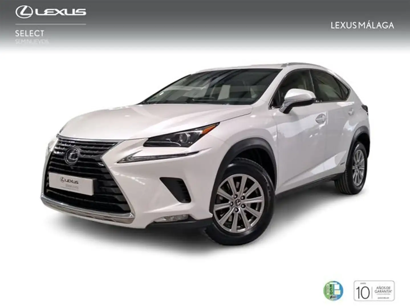 Lexus NX 300 300h Business Navigation 2WD Blanco - 1