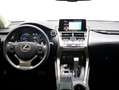 Lexus NX 300 300h Business Navigation 2WD Blanco - thumbnail 8