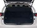 Lexus NX 300 300h Business Navigation 2WD Blanco - thumbnail 9