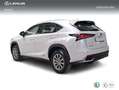 Lexus NX 300 300h Business Navigation 2WD Blanco - thumbnail 2