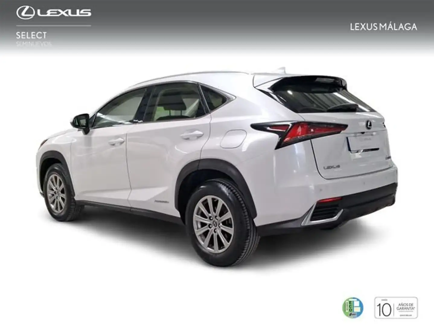 Lexus NX 300 300h Business Navigation 2WD Blanco - 2