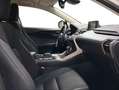 Lexus NX 300 300h Business Navigation 2WD Blanco - thumbnail 6