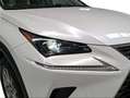 Lexus NX 300 300h Business Navigation 2WD Blanco - thumbnail 18