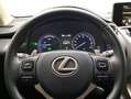 Lexus NX 300 300h Business Navigation 2WD Blanco - thumbnail 14