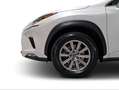 Lexus NX 300 300h Business Navigation 2WD Blanco - thumbnail 10