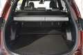 Toyota RAV 4 2,5 Hybrid Lounge 2WD Aut. Rouge - thumbnail 6
