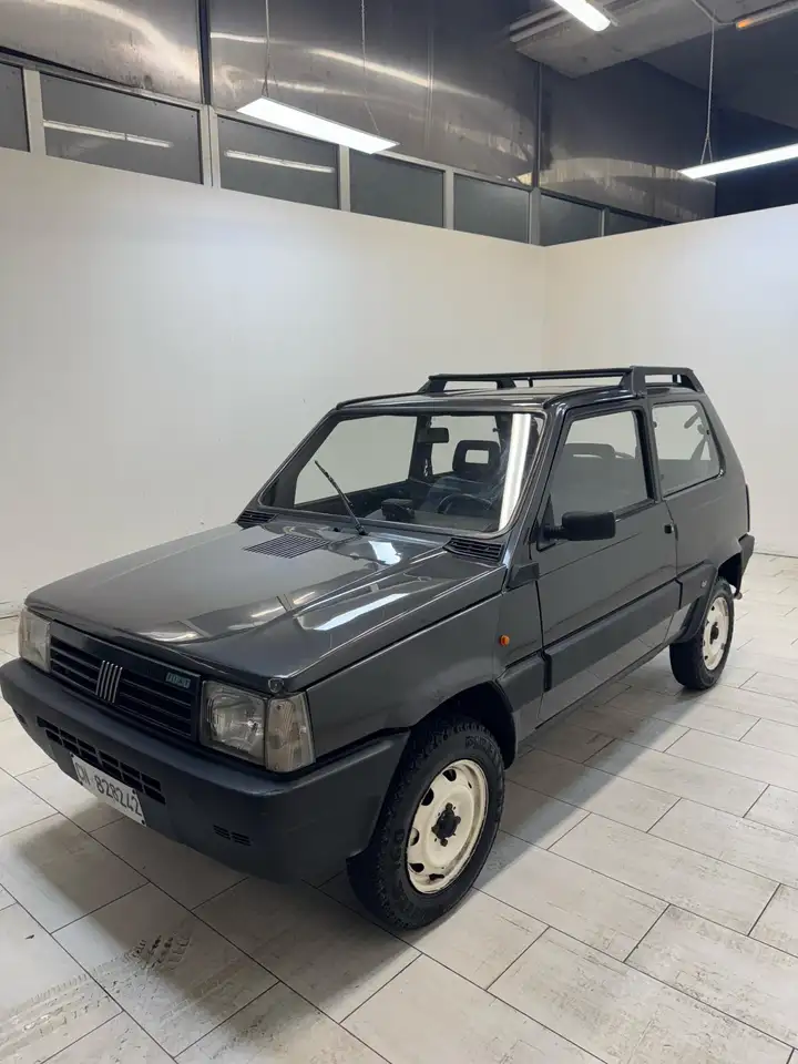 Fiat Panda 1.0 Trekking 4x4, foto 1