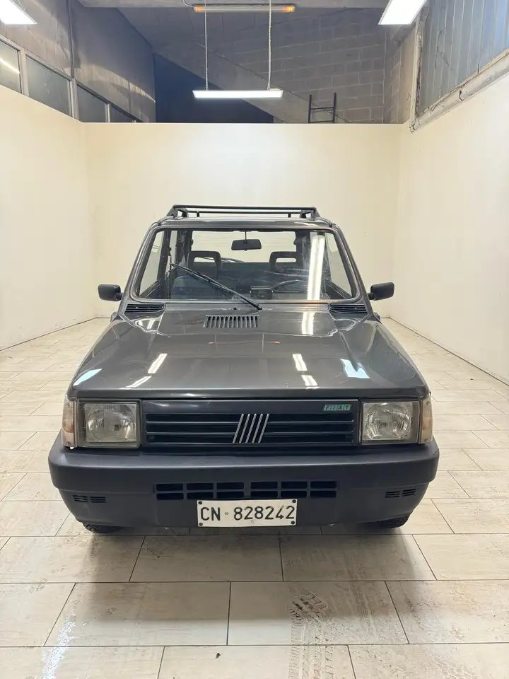 Fiat Panda 1.0 Trekking 4x4, foto 4