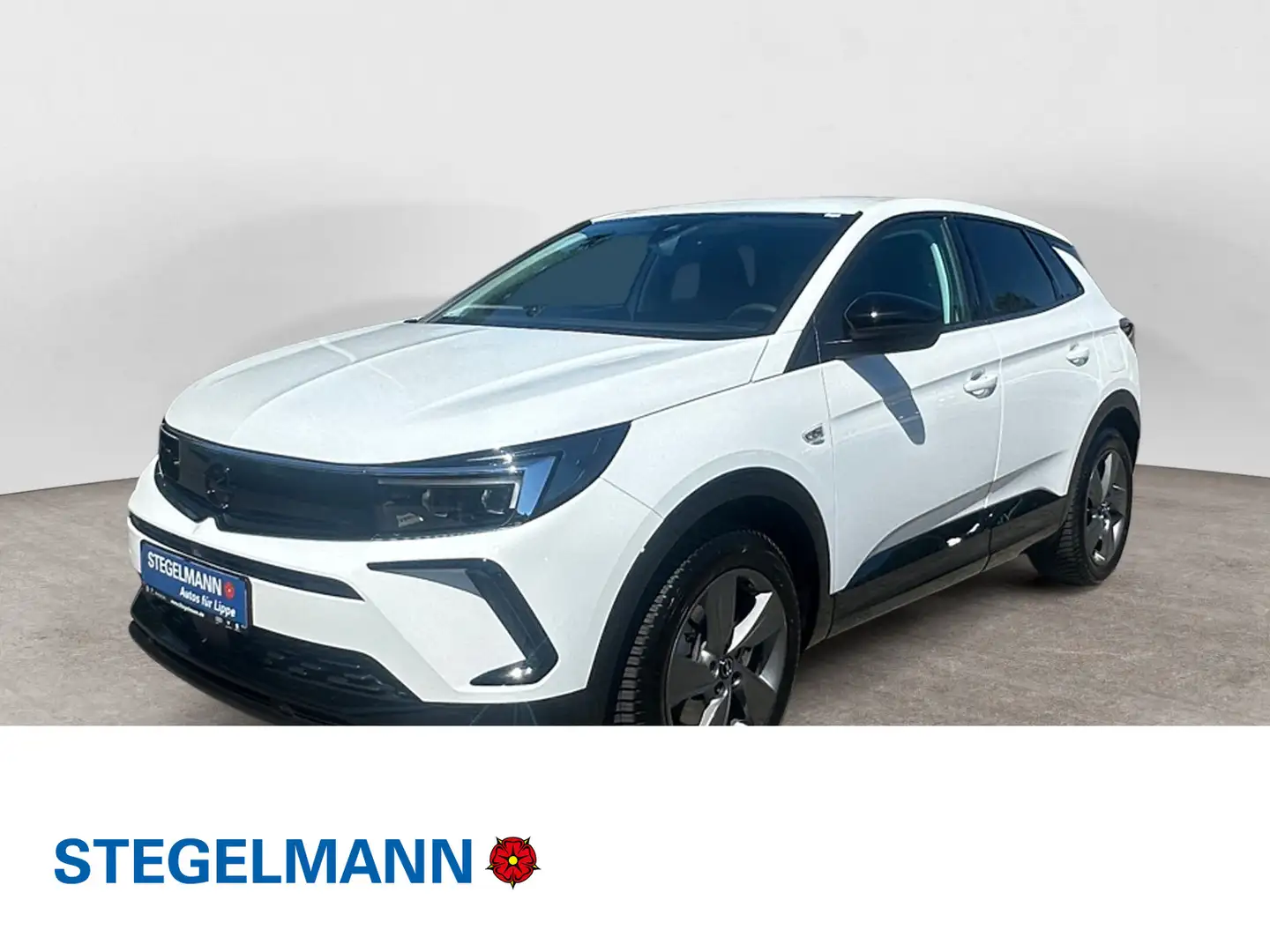 Opel Grandland X .16 Turbo Hybrid Aut. GS-Line *LED*A Weiß - 1