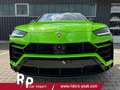 Lamborghini Urus Capsule Edition / PanoDach B&O 23" 478 kW (650 ... Verde - thumbnail 6