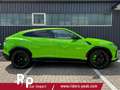Lamborghini Urus Capsule Edition / PanoDach B&O 23" 478 kW (650 ... Yeşil - thumbnail 7