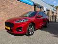 Ford Kuga 2.5 PHEV ST-Line X|Camera|Led|PDC Rosso - thumbnail 1