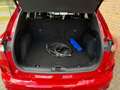 Ford Kuga 2.5 PHEV ST-Line X|Camera|Led|PDC Rosso - thumbnail 17