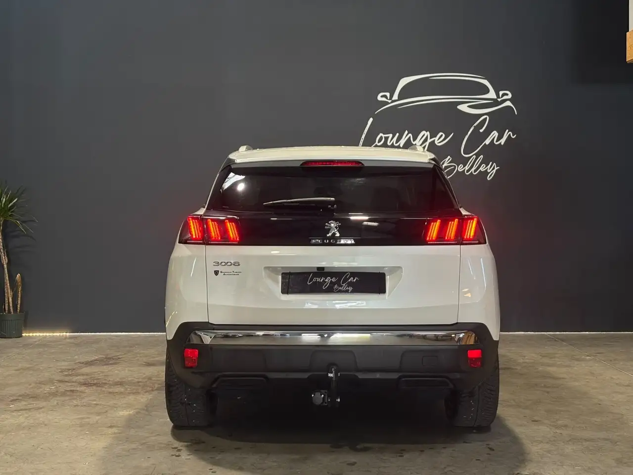 Peugeot 3008 3008 — photo 5
