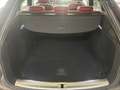 Audi SQ5 SQ5 3.0 tdi quattro 340cv tiptr. FULL FATTURABILE Schwarz - thumbnail 11