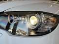 BMW X6 X6 xdrive 40d Futura MPerformance uniprop. Bianco - thumbnail 19