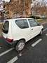 Fiat Seicento 1.1 Active - thumbnail 5