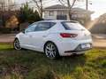 SEAT Leon Seat Leon FR 1.4 TSI | Panorama | LED | 18 Zoll | Steuerkette neu Weiß - thumbnail 4