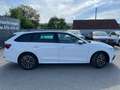 Skoda Octavia Combi 2,0 TDI DSG | AHK*MATRIX Weiß - thumbnail 2