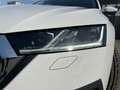 Skoda Octavia Combi 2,0 TDI DSG | AHK*MATRIX Weiß - thumbnail 36