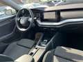 Skoda Octavia Combi 2,0 TDI DSG | AHK*MATRIX Weiß - thumbnail 12