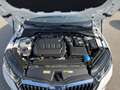 Skoda Octavia Combi 2,0 TDI DSG | AHK*MATRIX Weiß - thumbnail 32
