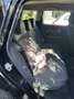 MINI One Clubman 1.5 Chili S. Bns Zwart - thumbnail 18