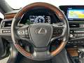 Lexus ES 300 300h Privilege Line Verde - thumbnail 20