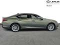 Lexus ES 300 300h Privilege Line Verde - thumbnail 13