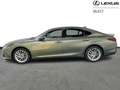 Lexus ES 300 300h Privilege Line Verde - thumbnail 3