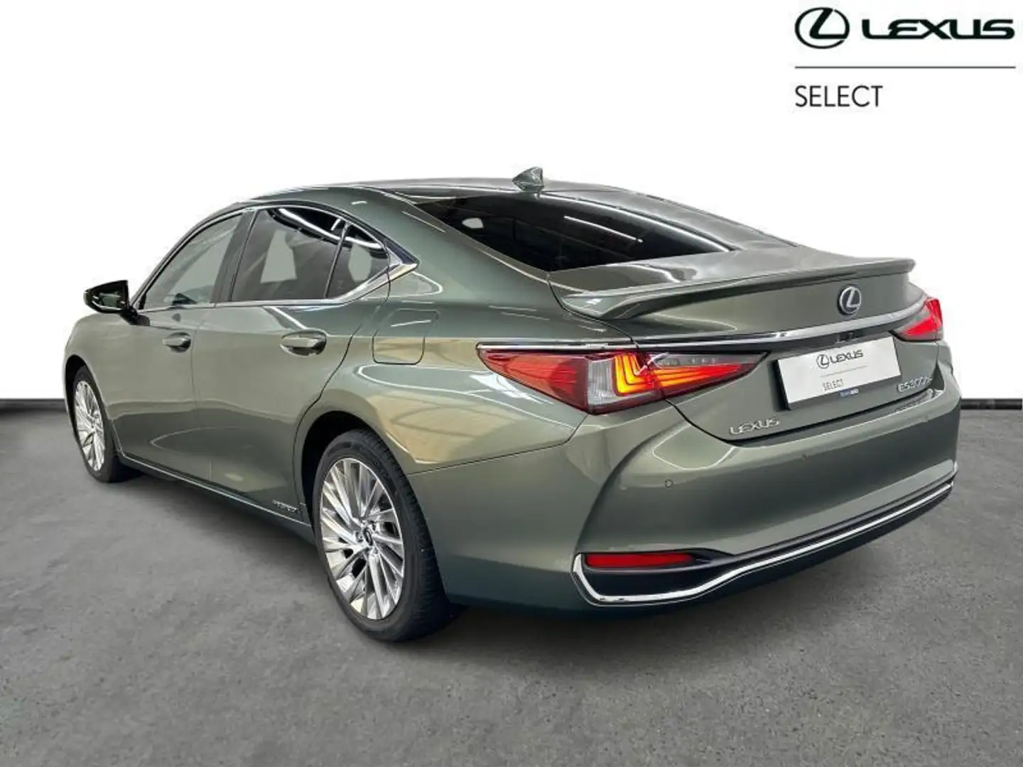 Lexus ES 300 300h Privilege Line Verde - 2