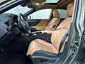 Lexus ES 300 300h Privilege Line Verde - thumbnail 16